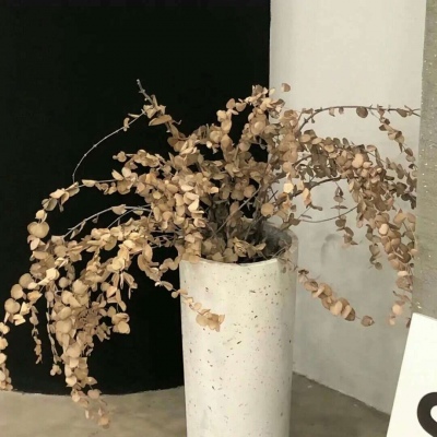 伊犁FurryQQ群介绍